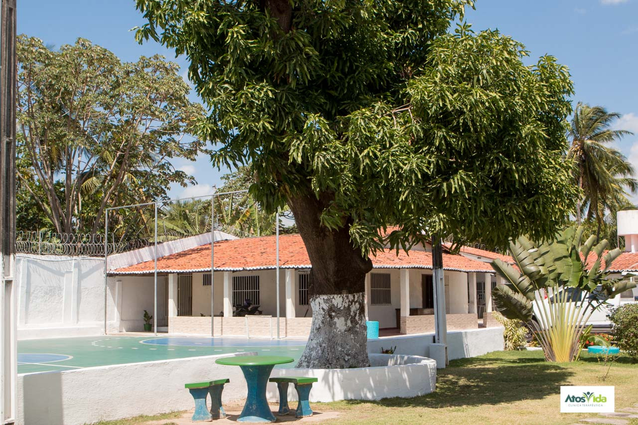 Área arborizada ao lado da quadra da Clínica Especializada