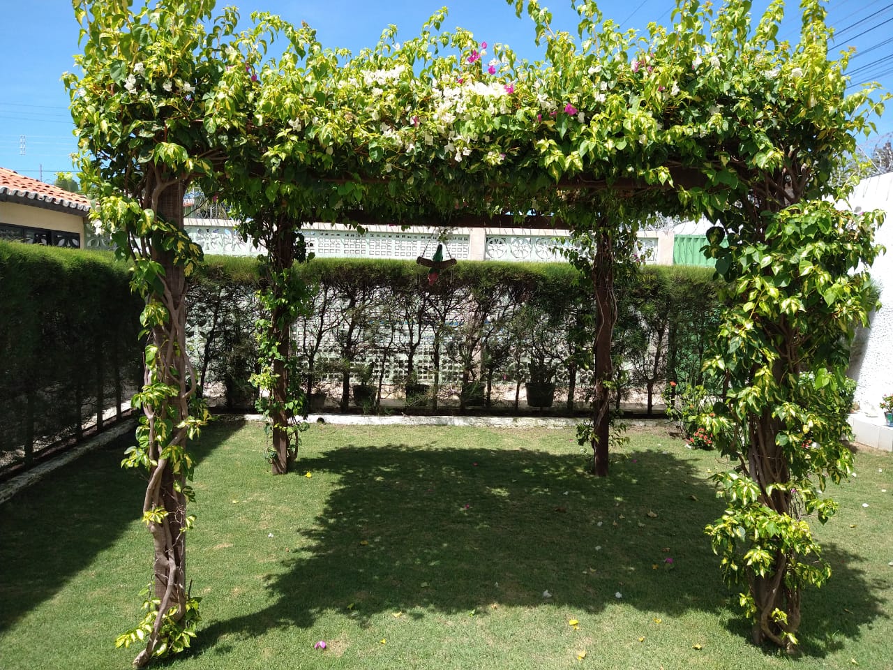 Pergolado florido no jardim da Clínica Especializada Atos Vida
